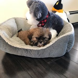 Meet your Posher, Samantha